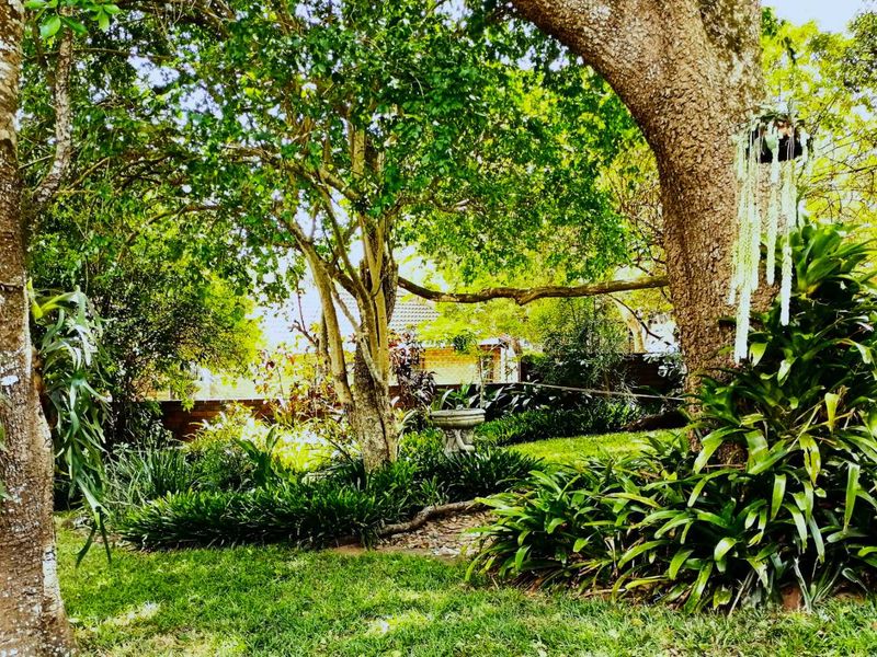Tranquil Haven in the Heart of St Lucia - Photo 6