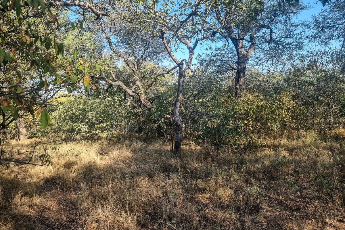 Stand with Bushveld views. - Photo 2