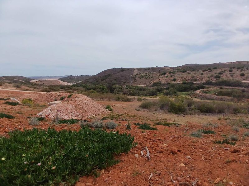 Exclusive 500m2 Stand with Dam Views in Outeniquasbosch Wildlife Estate - Photo 6