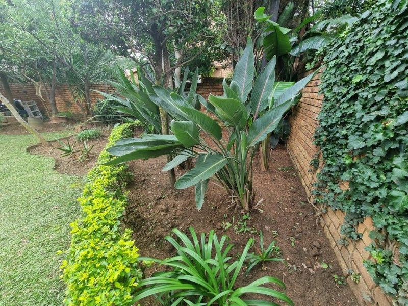 Family entertainment - Photo 10