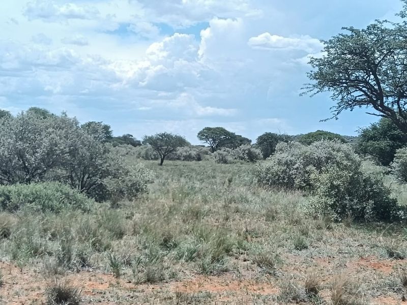 READY FOR DEVELEPMONT. 14 PLOTS . IN GAME FARM. BEAUTIFUL VIEW. - Photo 3