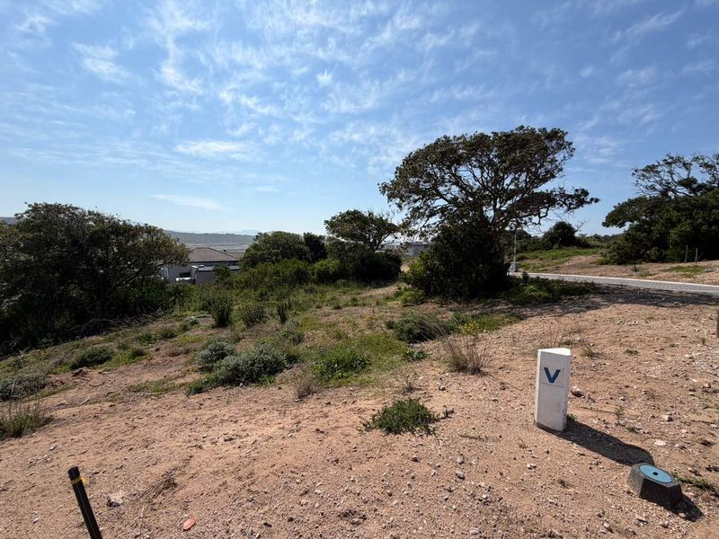 A vacant residential plot featuring natural vegetation, mature trees, and visible survey markers, offering potential for future development.