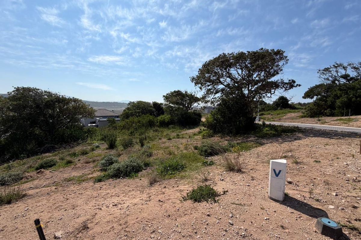 A vacant residential plot featuring natural vegetation, mature trees, and visible survey markers, offering potential for future development.