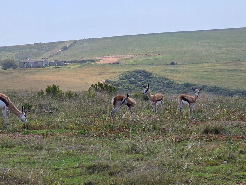 Plot & Plan options now selling in Hartland Lifestyle Estate - Photo 6