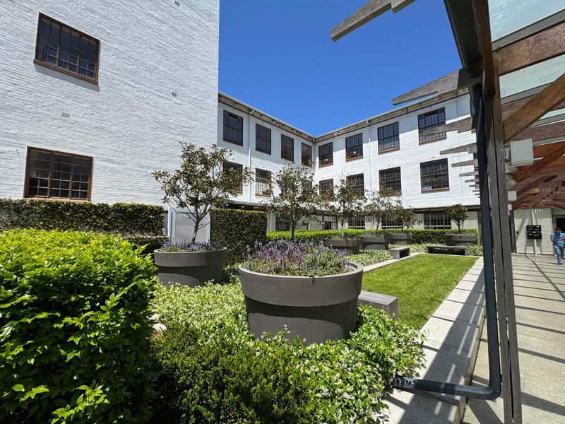 481m2 - To Let - Premium Office Space - Great Westerford Newlands - Photo 9
