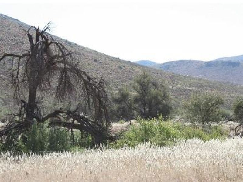 CATTLE / SHEEP / GAME FARMS FOR SALE KARAS REGION - Photo 8