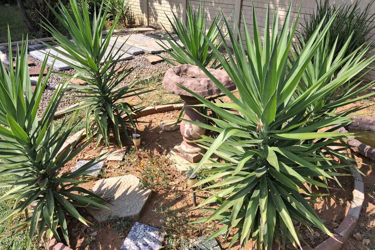 3 Bedroom House For Sale in Vanderbijlpark SE6 - Photo 4