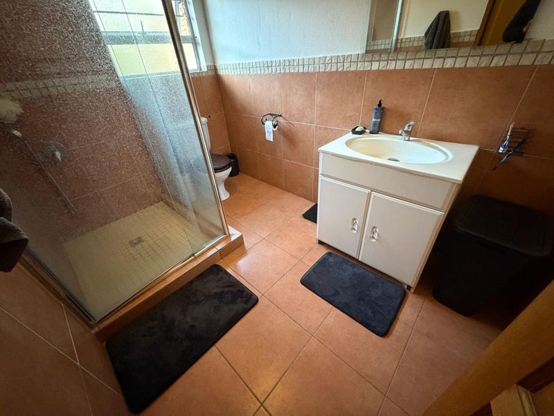 A functional bathroom featuring a shower enclosure, vanity cabinet with basin, and toilet, finished with terracotta-style floor and wall tiles.