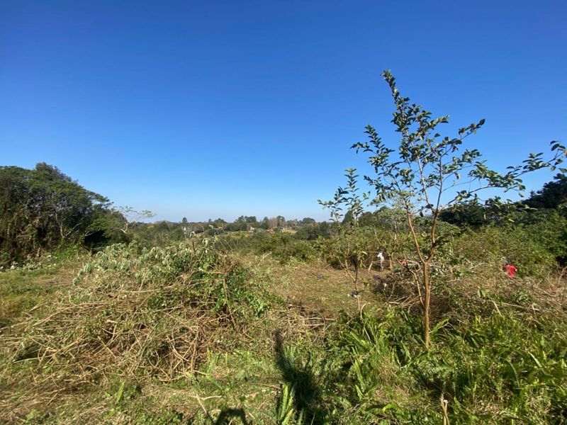 GENEROUS LAND OPPORTUNITY IN SOUGHT-AFTER EVERTON. - Photo 3