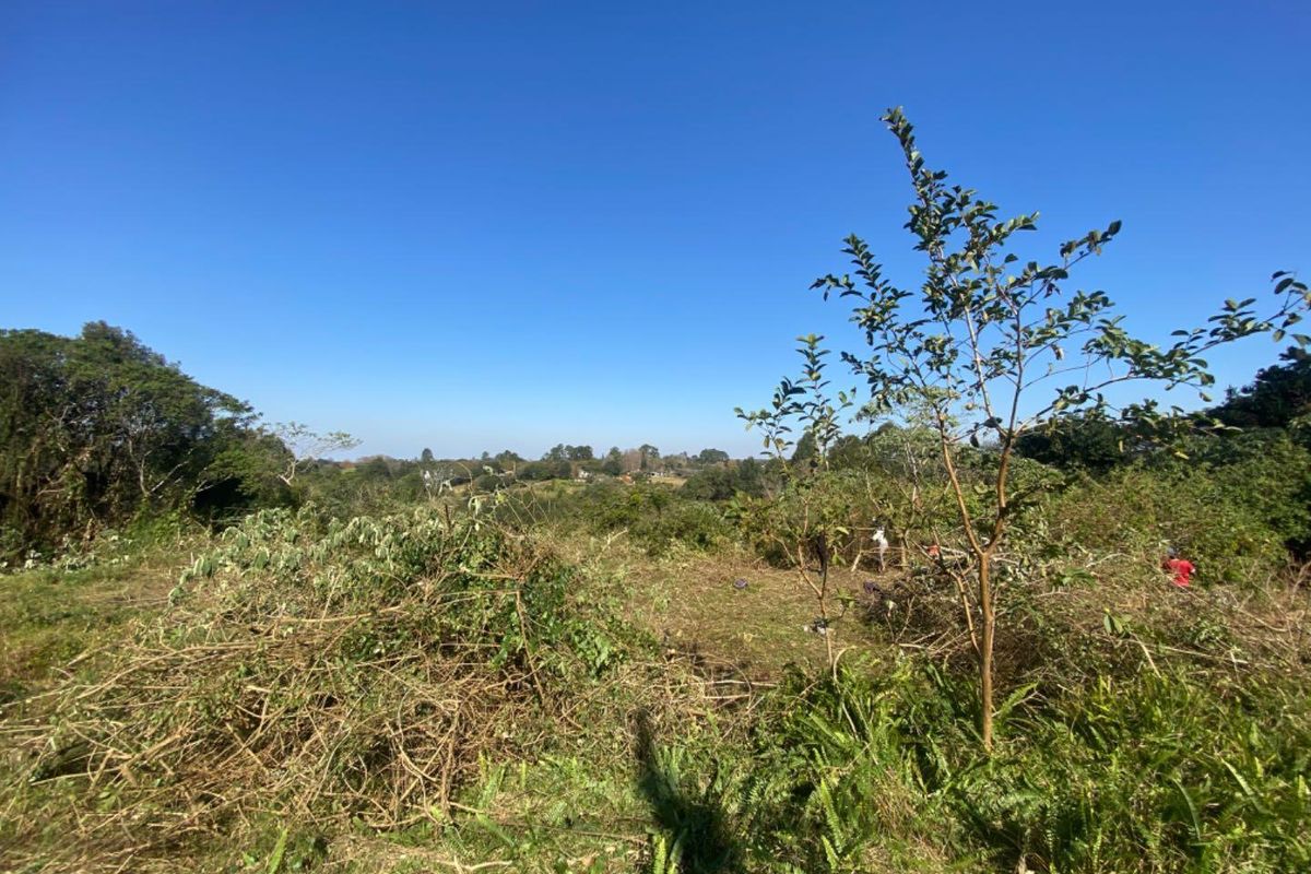 GENEROUS LAND OPPORTUNITY IN SOUGHT-AFTER EVERTON. - Photo 3