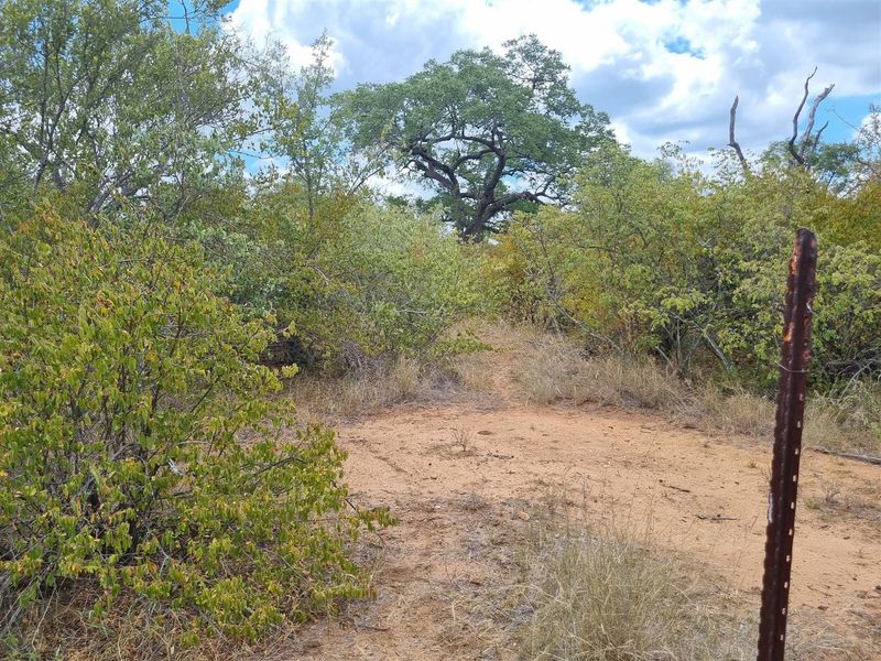 A view of a vacant residential plot featuring natural bushveld vegetation and a weathered metal fence post.