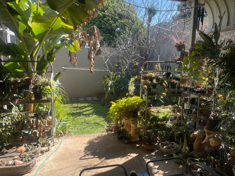 A covered patio area overlooking a small rear garden with a boundary wall and established greenery.