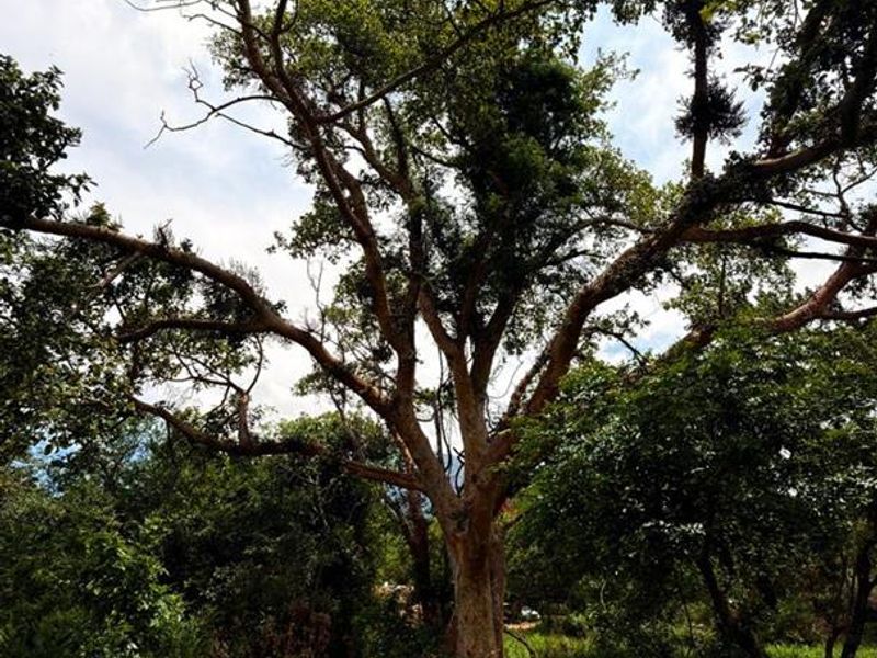 Kampersrus – Bedford Estate | Secluded Vacant Stand for sale with Mountain Views - Photo 6