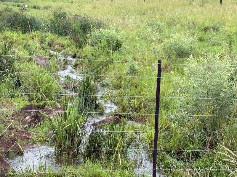 Agricultural Gem: Cleared Land & Established Orchards! - Photo 7