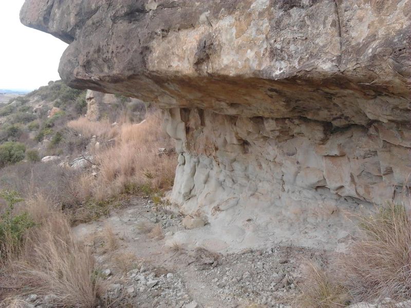 Unmatched Opportunity: Farm & Bottling Biz in One - Photo 10