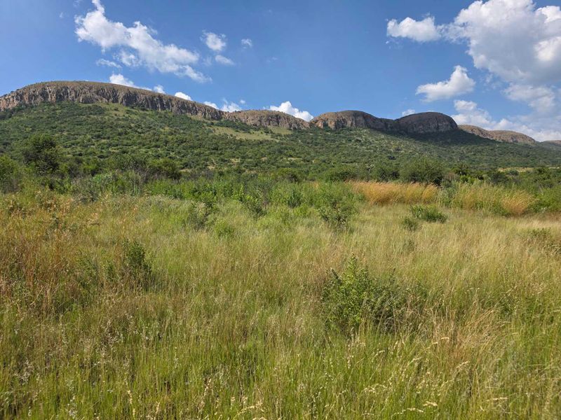 Flooded with natural light and views - Photo 6