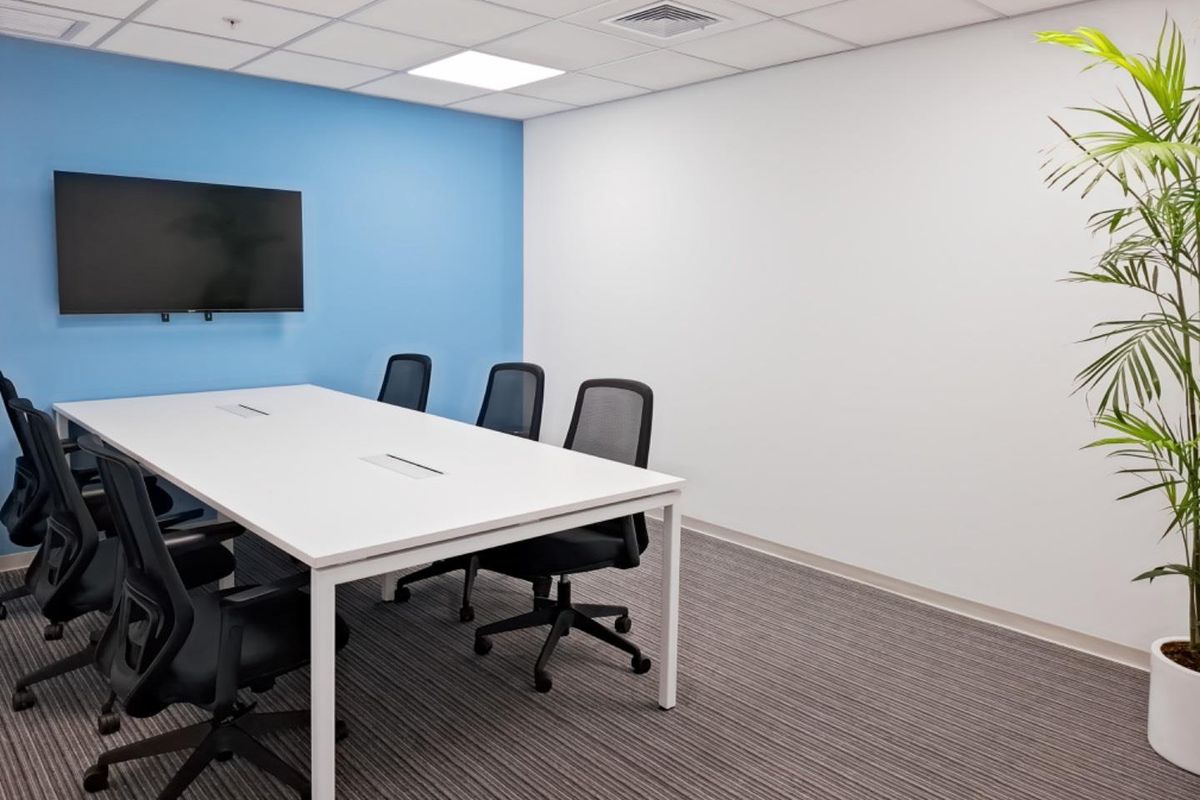 A modern office meeting room featuring a blue accent wall, suspended ceiling with recessed lighting, and neutral carpet flooring.