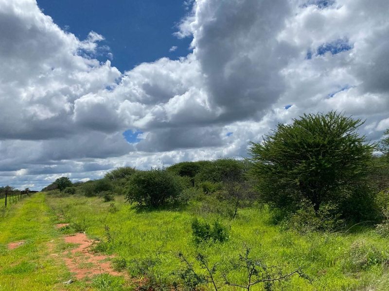 Expansive natural veld landscape featuring indigenous shrubs, grasses, and perimeter wire fencing under a cloudy sky.
