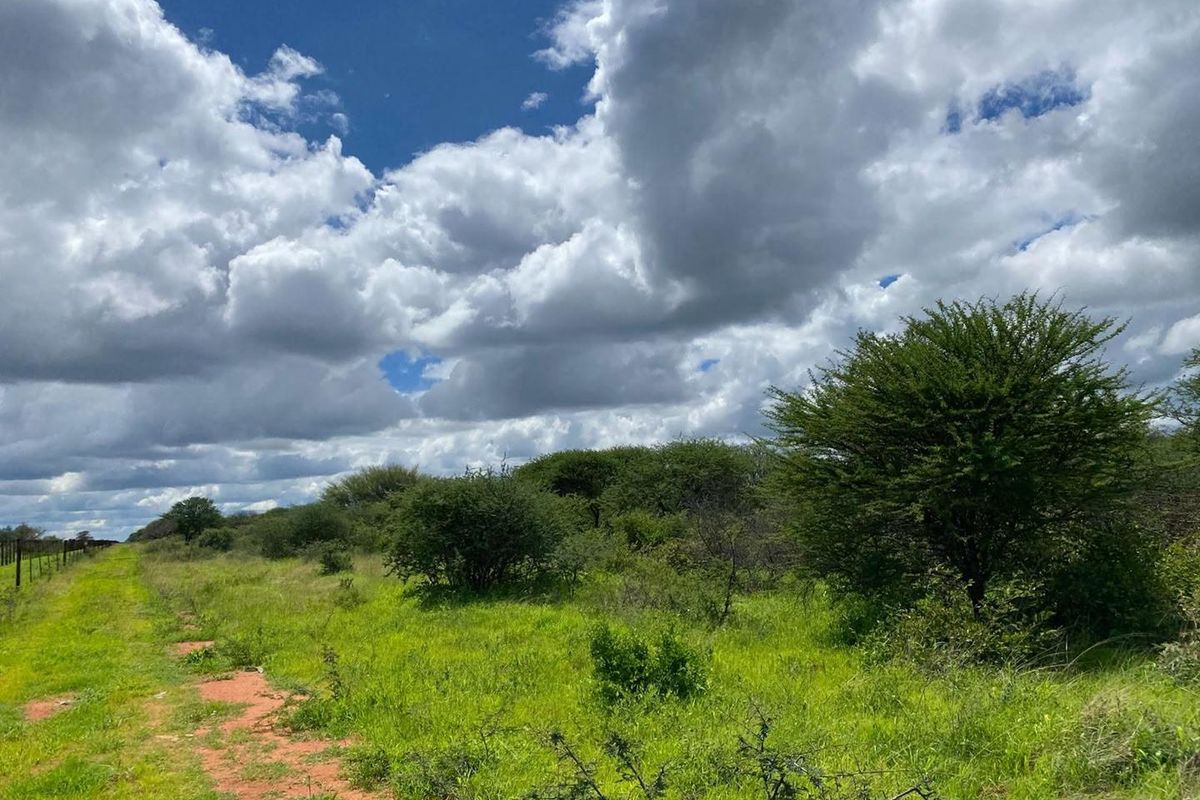 Expansive natural veld landscape featuring indigenous shrubs, grasses, and perimeter wire fencing under a cloudy sky.