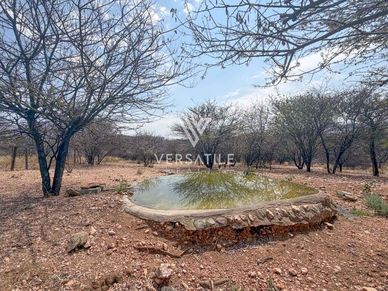 A natural garden area featuring a stone-lined water feature set within a rural landscape with mature trees.