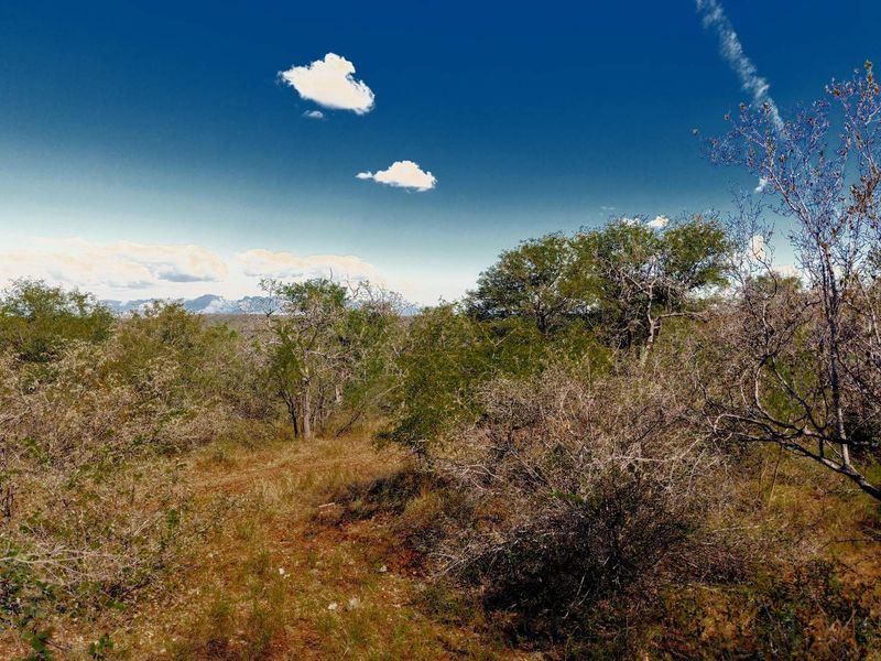 Beautiful Bushveld Views in Elephant Rock Eco Estate - Photo 5