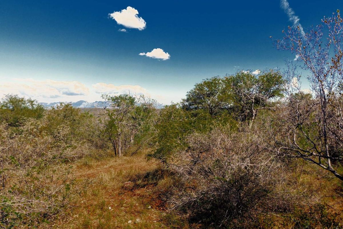 Beautiful Bushveld Views in Elephant Rock Eco Estate - Photo 5