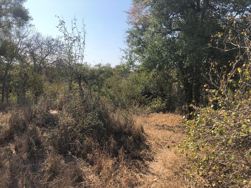 River stand on seasonal river with large indigenous trees. - Photo 2