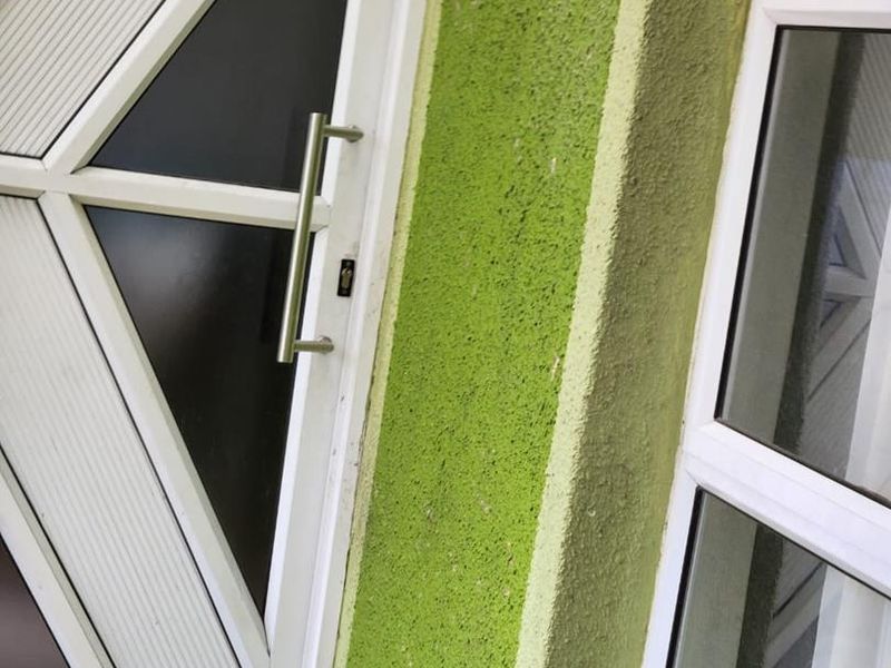 Close-up view of a modern uPVC entrance door and adjacent window frame set against a textured green exterior wall.