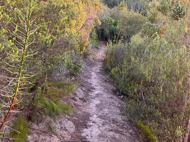 ***Local or International : Build your eco-friendly home in Hoekwil with Scenic views of the River and Mountains*** 3.6 Hectares - Photo 8