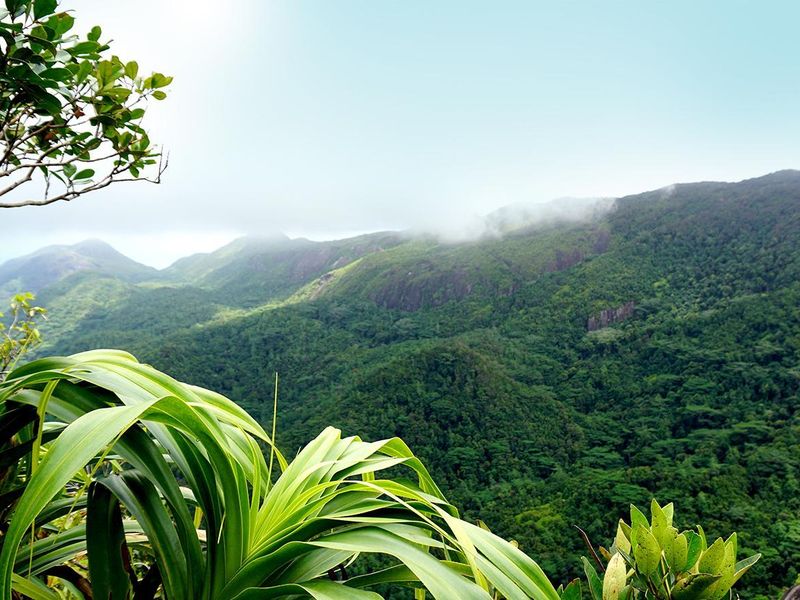 A scenic, elevated view of lush, green mountain ranges and tropical forest landscape.