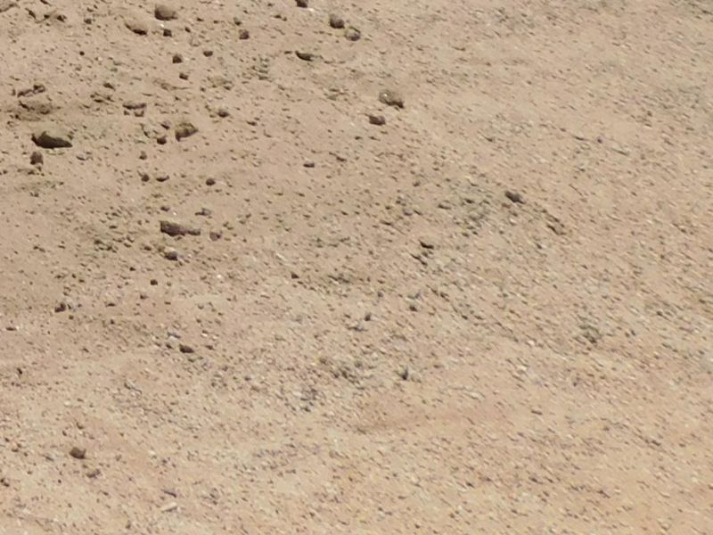 Vacant Land / Plot for Sale in Henties Bay. Don't miss out - Photo 2