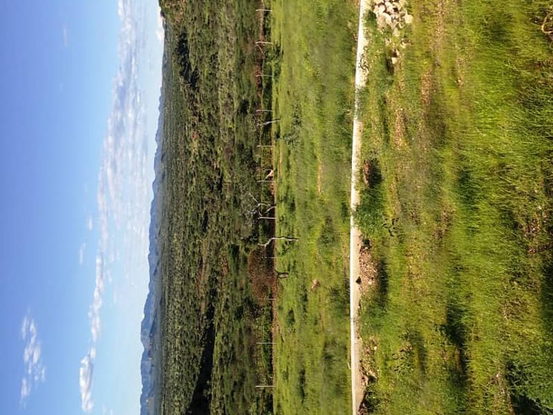 Expansive landscape view overlooking natural terrain, featuring a perimeter fence and a concrete driveway section.