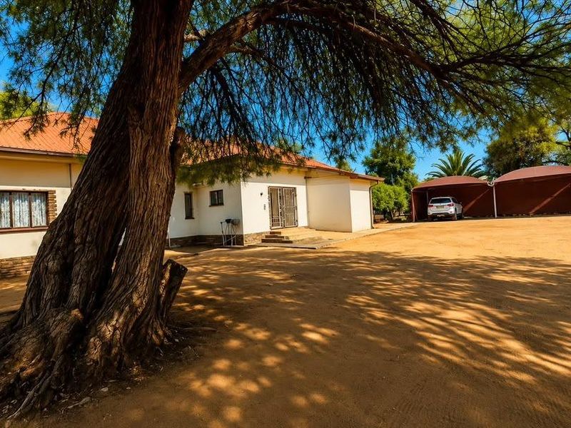 Front exterior view of the house featuring a large tree, a tiled roof, and a spacious driveway with a covered carport area.