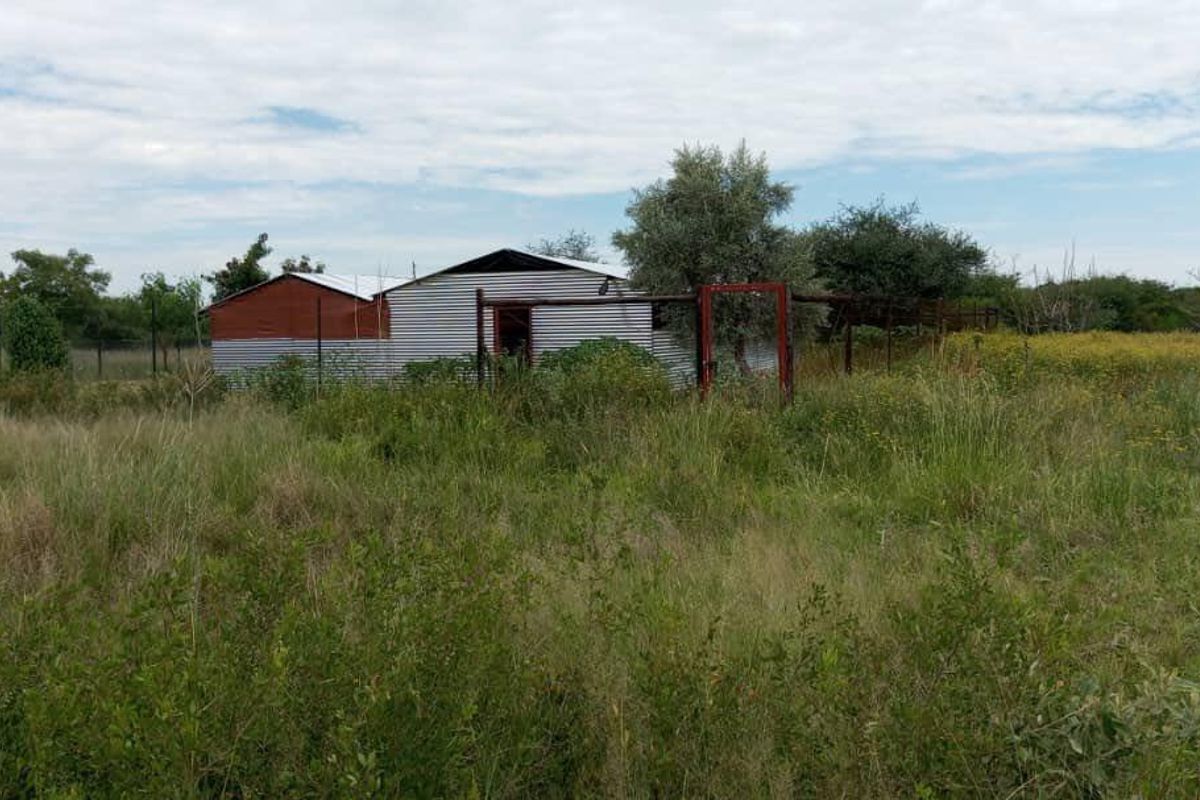 A view of a small holding property featuring a basic metal-clad structure set within an expansive, overgrown field.
