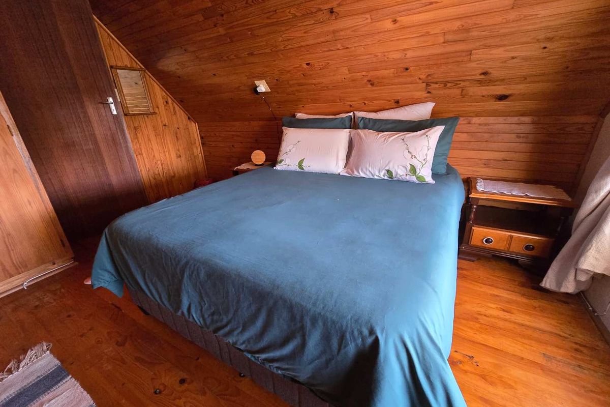 A cozy bedroom featuring warm timber wall cladding, ceiling, and flooring, with a built-in cupboard and sloped roof design.