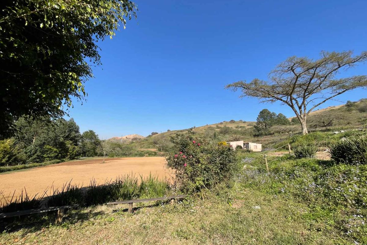 Expansive 4-Hectare Land – Ideal for Agriculture or Projects - Photo 4