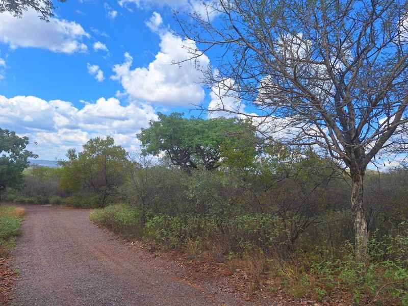 Infinite Beauty - Limited Sstands - Photo 2