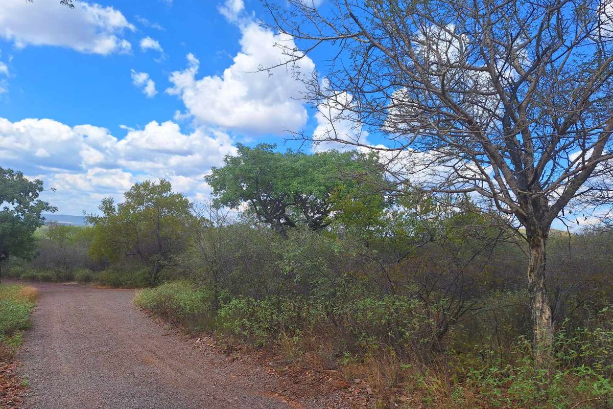 Infinite Beauty - Limited Sstands - Photo 2