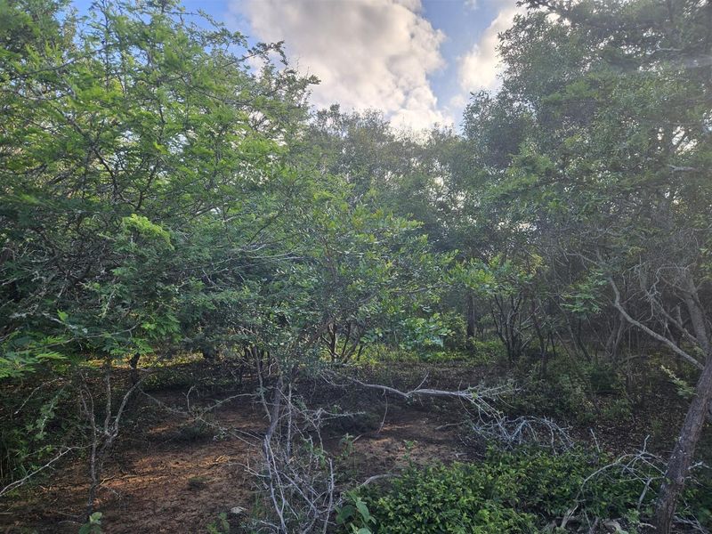 Stand for sale in Moditlo Wildlife Estate - Photo 6