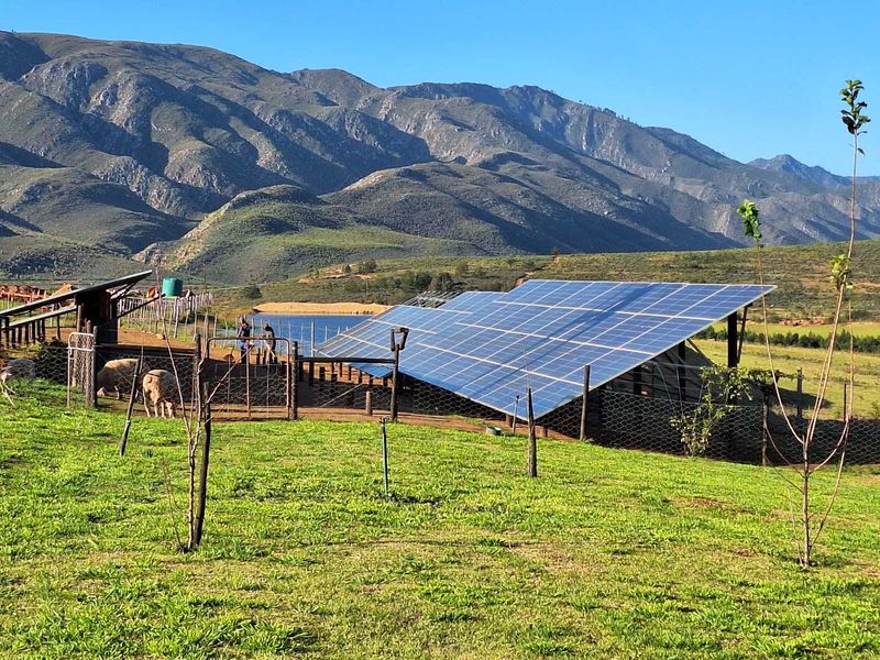 Water - Water - Water - Photo 8