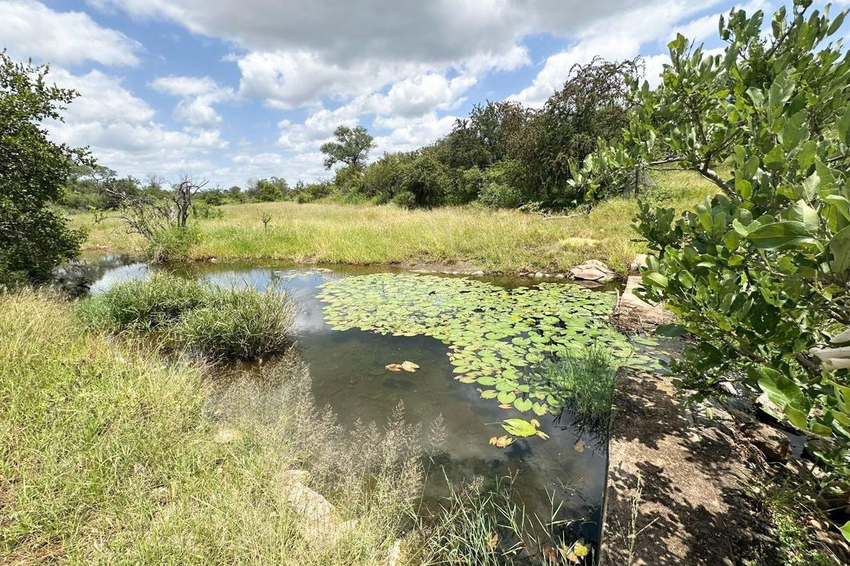 Private 22ha Off-Grid Bush Retreat – Big Five Wilderness - Photo 3