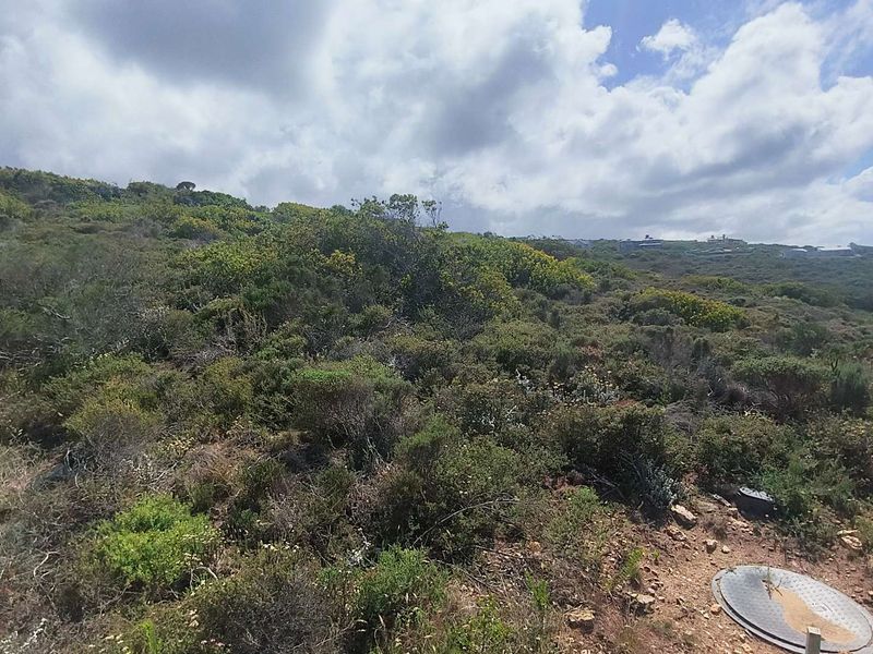 3040m2 Vacant Land With Breathtaking Views in Moquini Coastal Estate - Photo 8