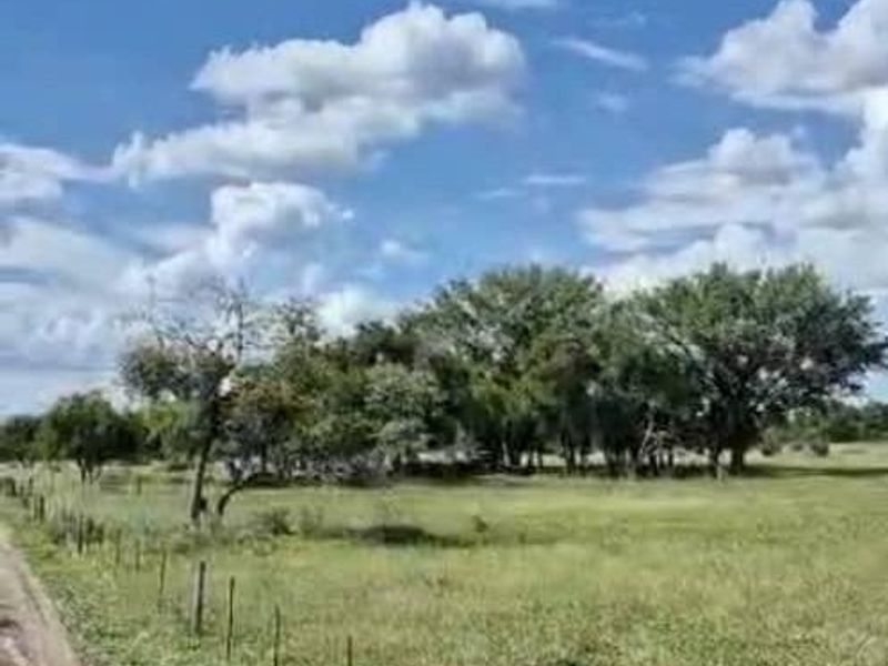 Farm For Sale - Photo 3