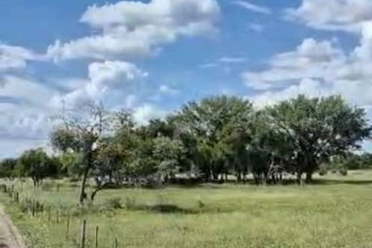 Farm For Sale - Photo 3