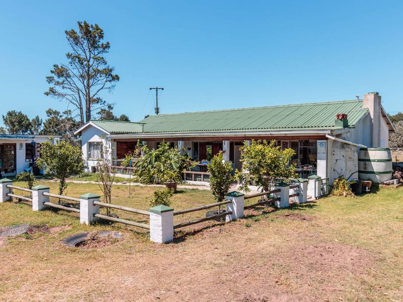 Oak Lane Farm offers an exceptional lifestyle opportunity in one of the Eastern Cape’s fastest developing farming communities. - Photo 4