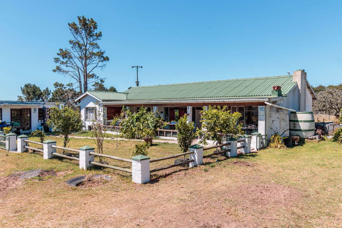 Oak Lane Farm offers an exceptional lifestyle opportunity in one of the Eastern Cape’s fastest developing farming communities. - Photo 4