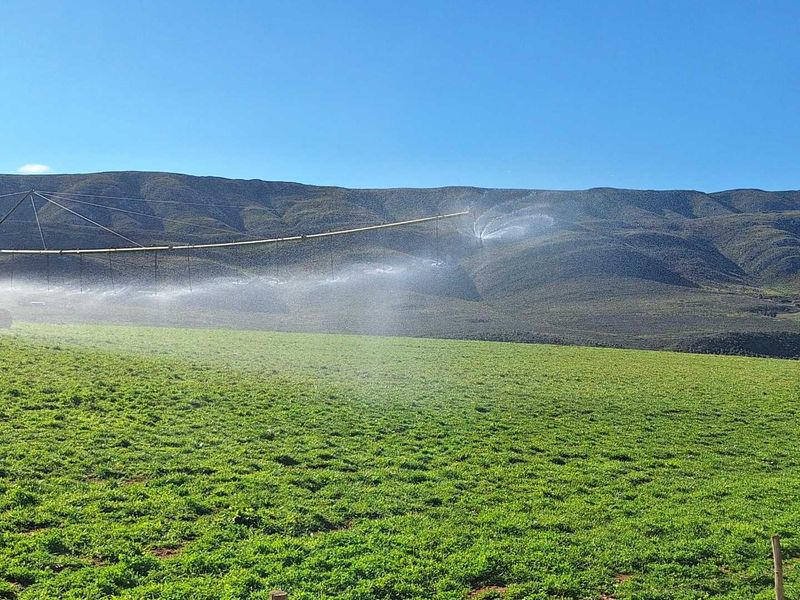 Water - Water - Water - Photo 2