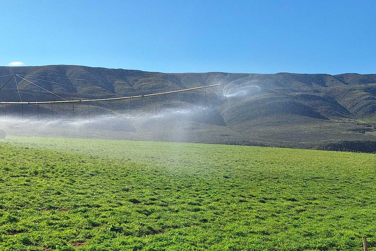 Water - Water - Water - Photo 2