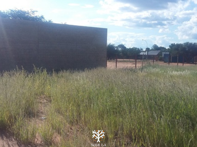 PRIME INVESTMENT OPPORTUNITY IN GOBABIS - Photo 2