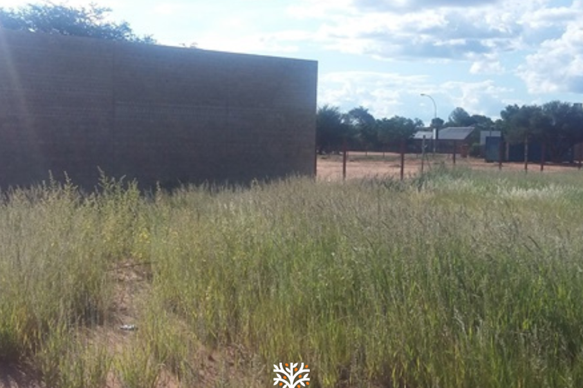 PRIME INVESTMENT OPPORTUNITY IN GOBABIS - Photo 2